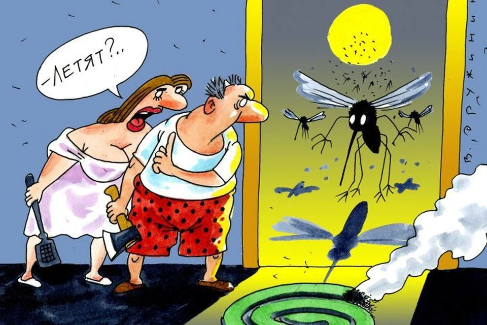 Жители окрестностей Екатеринбурга пожаловались на аномальное количество комаров