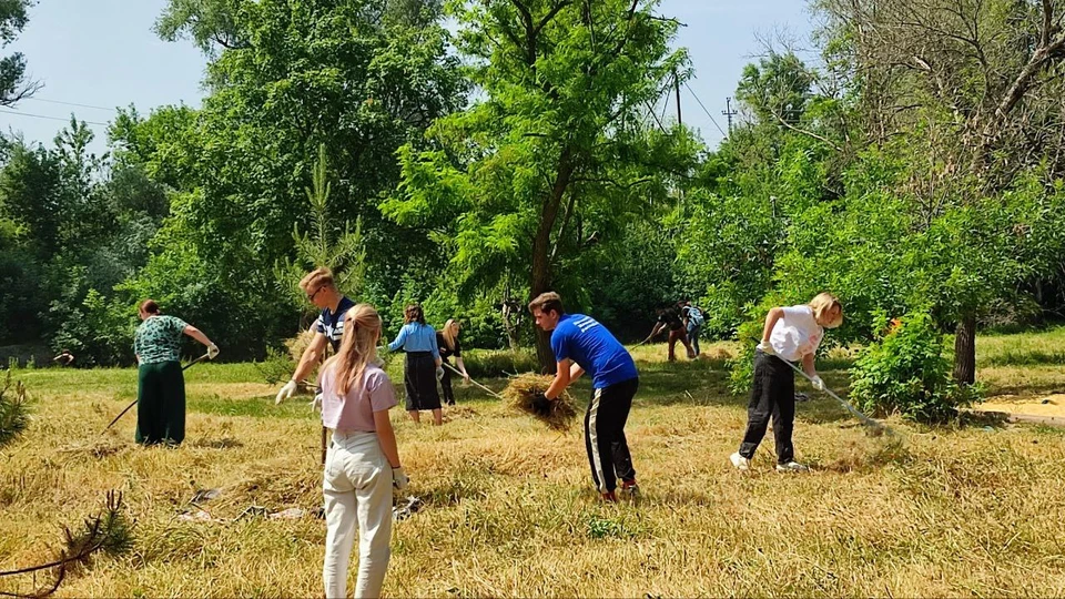 В парке скосили траву и передали ее на корм животным в зооуголок Луганска