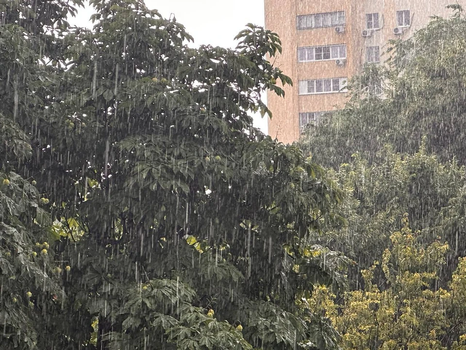 Жителей Ростова предупредили о дожде 7 июня