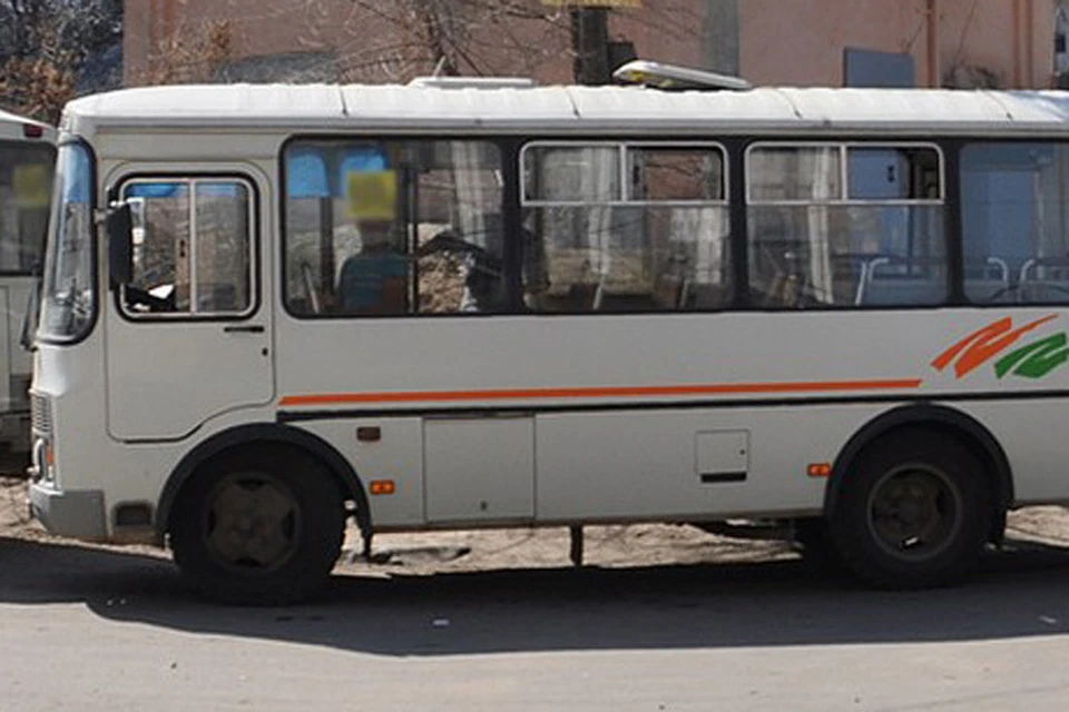 Пригородные автобусы в День России будут ездить по расписанию, обычному для воскресенья.