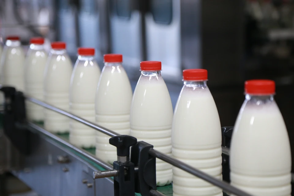 В День России в Ульяновске пройдет праздничное мероприятие для любителей молока
