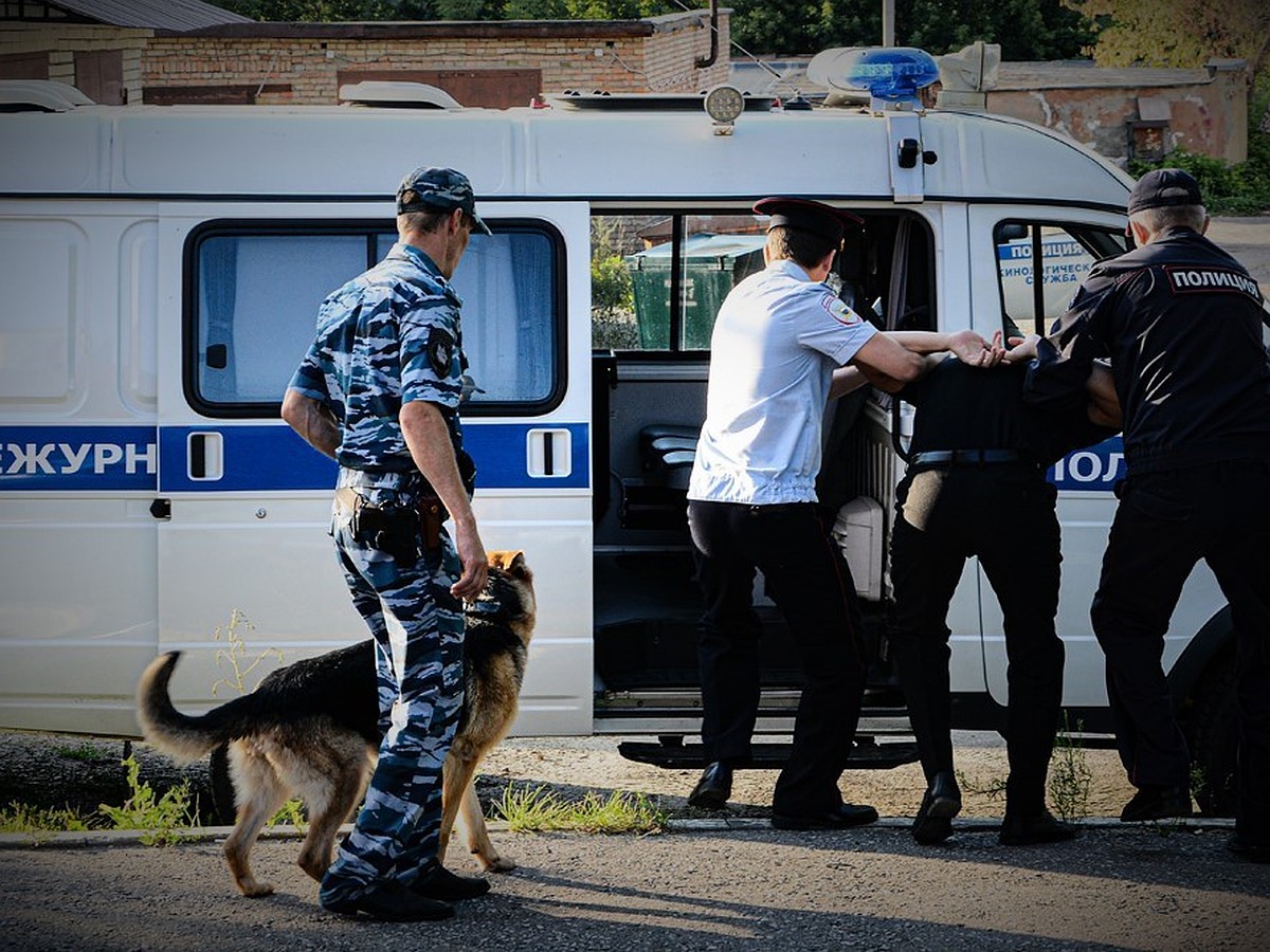 Пензенские полицейские задержали мужчину, расправившегося с тещей топором -  KP.RU