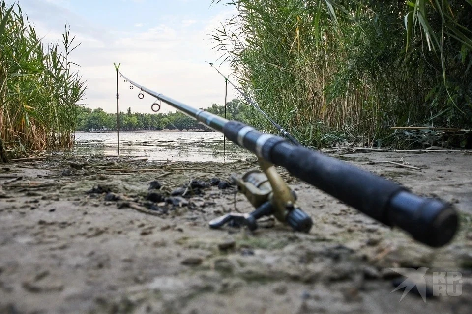 Рыбалка в Рязанской области – 2024: открытие сезона с 11 июня.