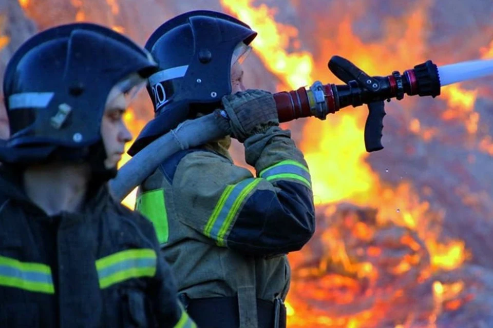 Сотрудники МЧС России за неделю потушили почти 300 очагов возгорания в ДНР. Фото: МЧС ДНР