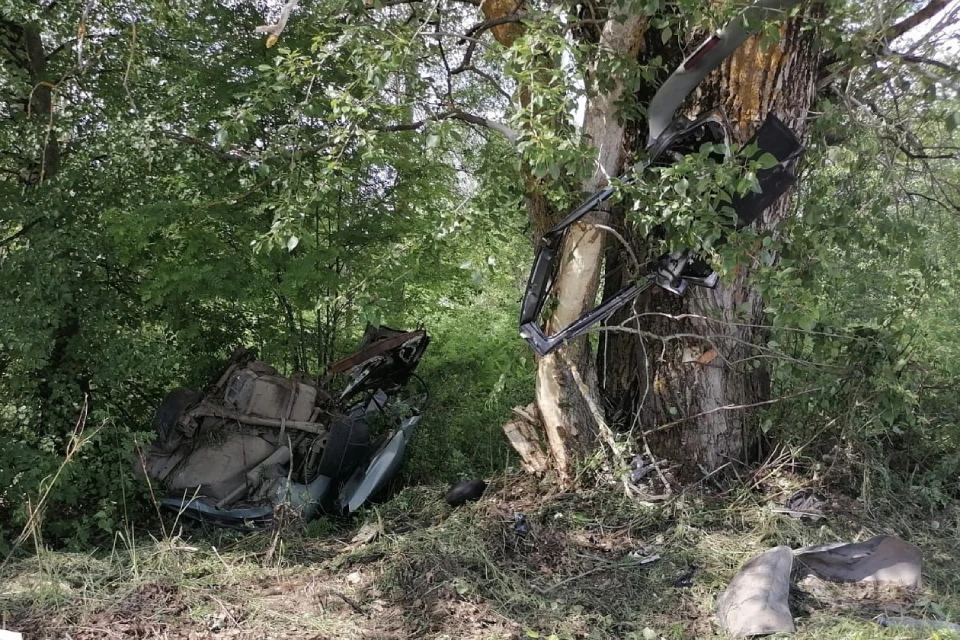 Машина после столкновения съехала в кювет и влетела в дерево. Фото: УГИБДД УМВД России по Кировской области