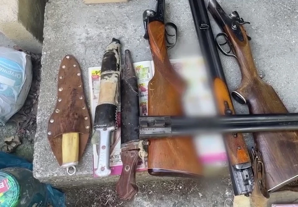 Пенсионер хранил оружие в своем доме. Фото: скриншот видео