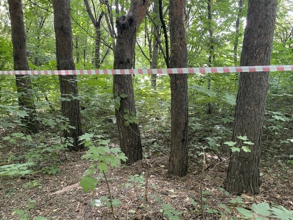 С территории села Ижболдино Янаульского района сняли карантин по бешенству.