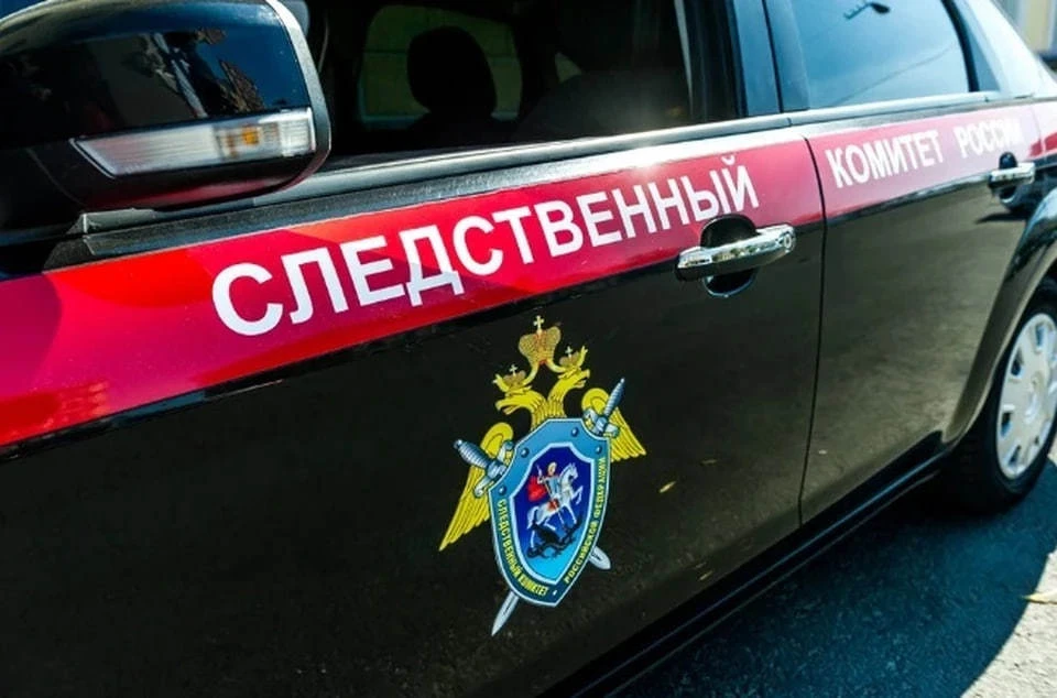 В Перми внепланово проверят семью, где ребенка выгуливали на веревке