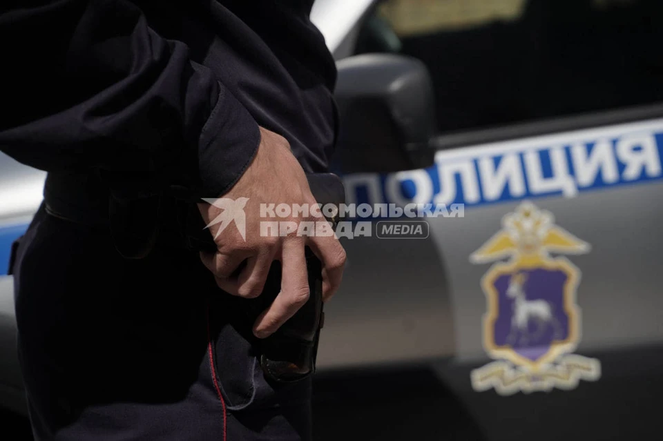 Хозяина собаки найти пока не удалось