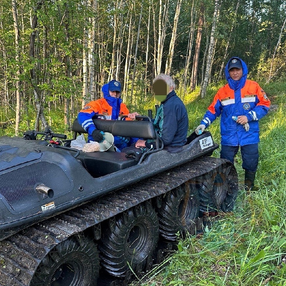 Спасатели помогли больному пенсионеру выбраться из леса в Приозерском  районе - KP.RU