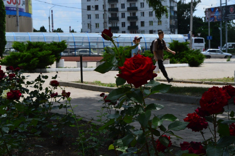 Солнечно, без осадков