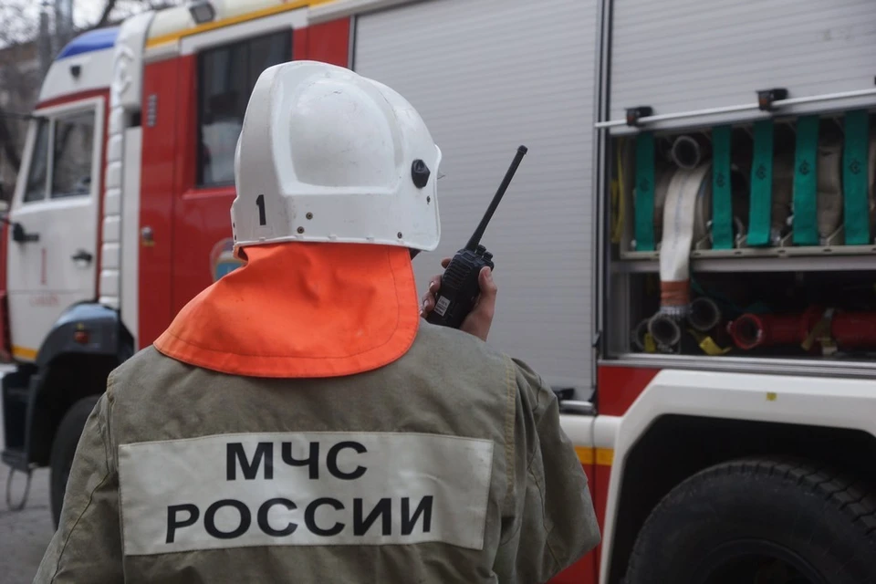 В ульяновском поселке Языково сгорел «Фольксваген Пассат»