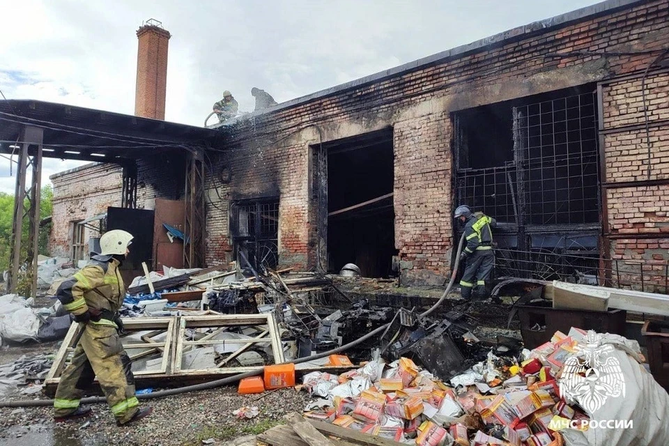 Число погибших при пожаре на складе в Оби увеличилось до двух человек. Фото: МЧС по НСО.