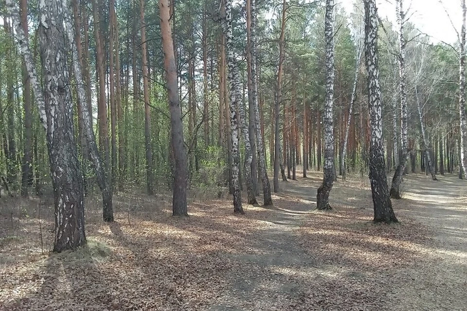 Погода на Ямале с 1 по 7 июля