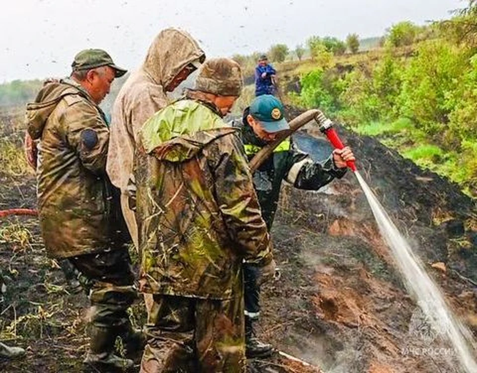 Ветер повалил столбы и деревья. Фото: Правительство Якутии.