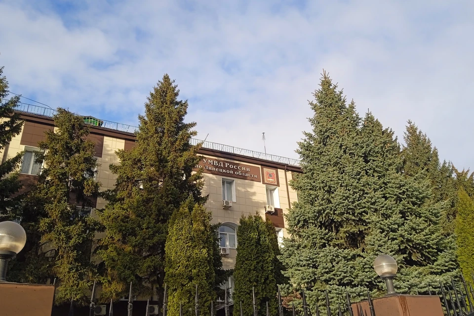 Пьяные жители Липецка ограбили магазин на Липовской на 2200 рублей