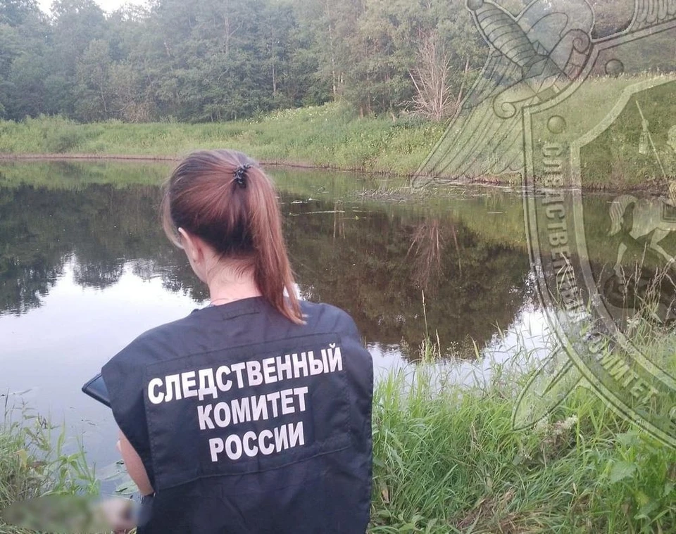 Фото: пресс-служба СУ СК России по Костромской области