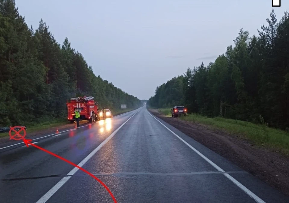 На трассе в Корткеросском районе водитель иномарки опрокинулся в кювете. Фото: ГИБДД по Коми.