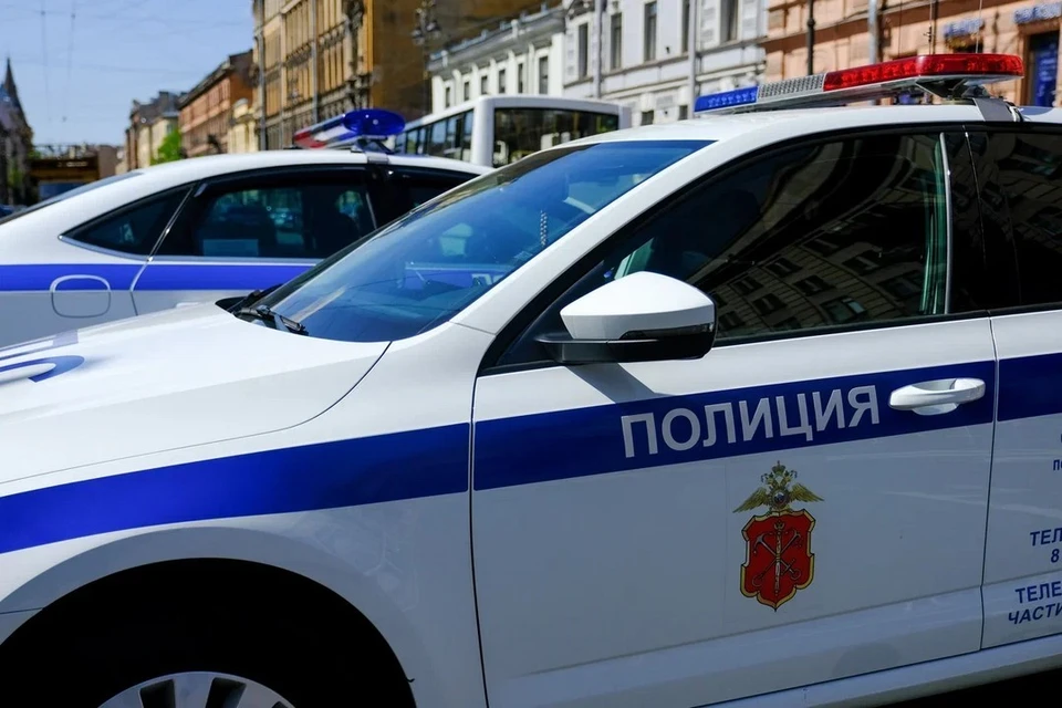 Полиция ищет хулиганов, разбивших стекло иномарки цепью и распыливших газ из баллончика в водителя в Петербурге.