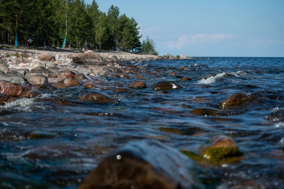 Вода не успела попасть в легкие ребенка.