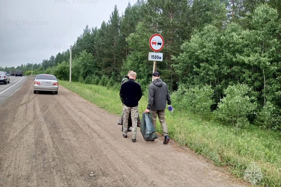 Специалисты вывезли 3 самосвала мусора с 13 километров лесополосы.