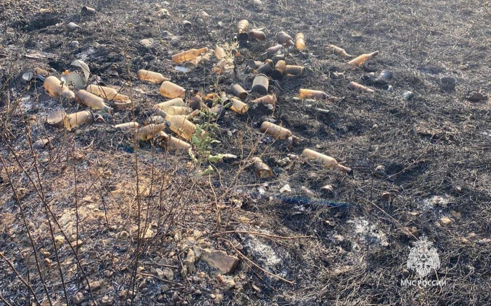 В Мясниковском районе Ростовской области произошел крупный пожар. Фото: ГУ МЧС по Ростовской области