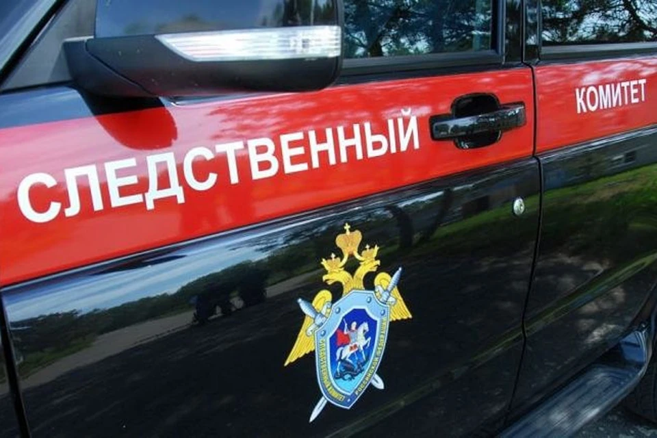 По ходатайству следователя в регионе арестована женщина. Фото: СКР
