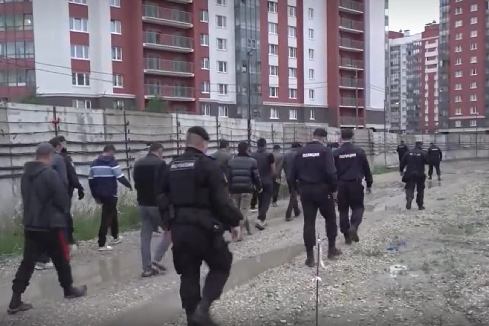 Полиция проверила соблюдение порядка пребывания мигрантов. Фото: пресс-служба ГУ МВД России по Петербургу и Ленобласти