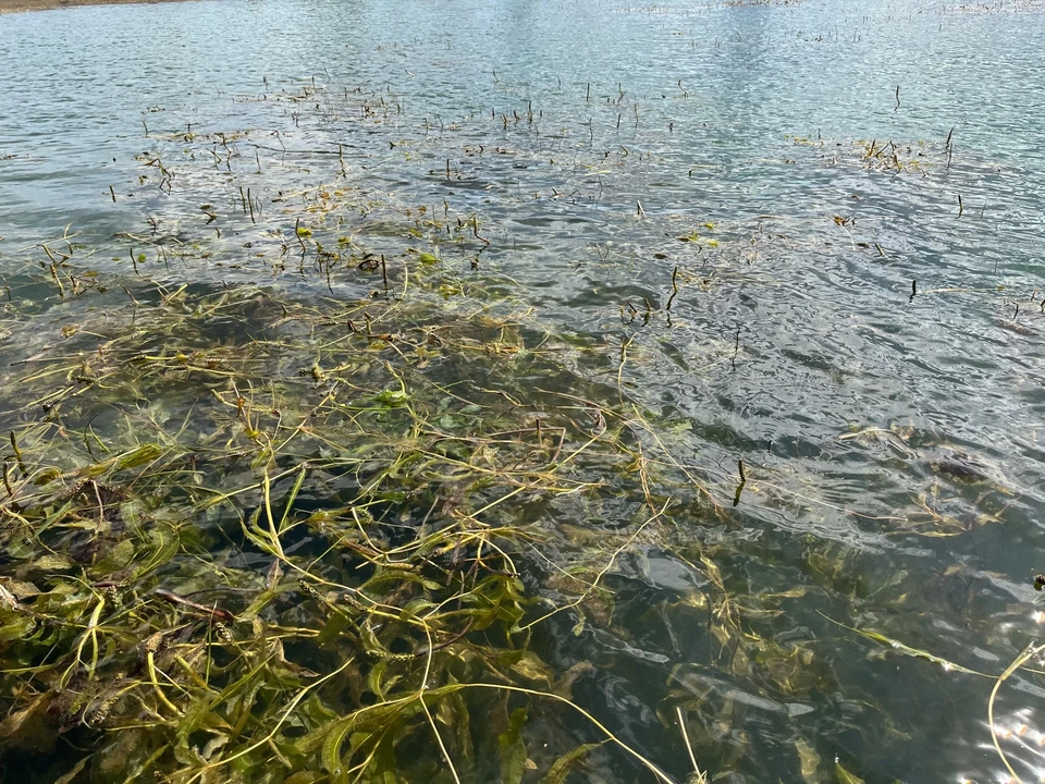 В Коми вода унесла жизни 18 человек.
