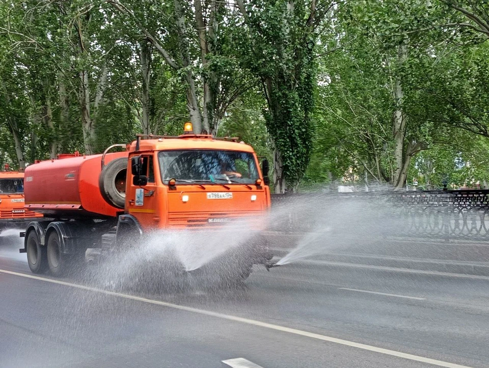 От жары страдают не только люди.