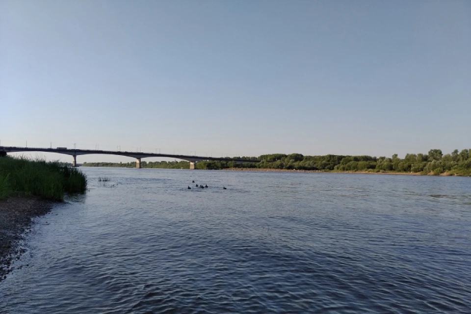 Стоки попадали в водоохранную зону Вятки.