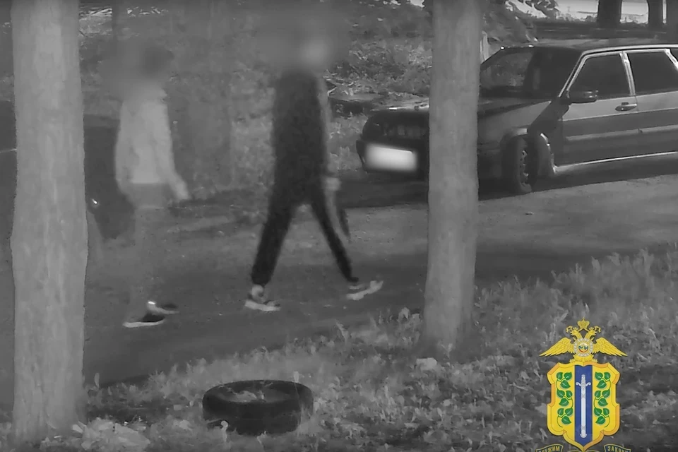 Парни из Иркутска угнали у жителя Липецка ВАЗ, чтобы доехать до дома