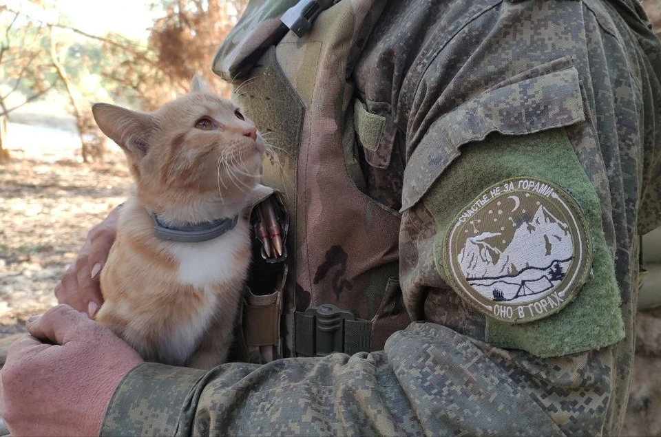 Каждый может внести свой вклад в общую Победу