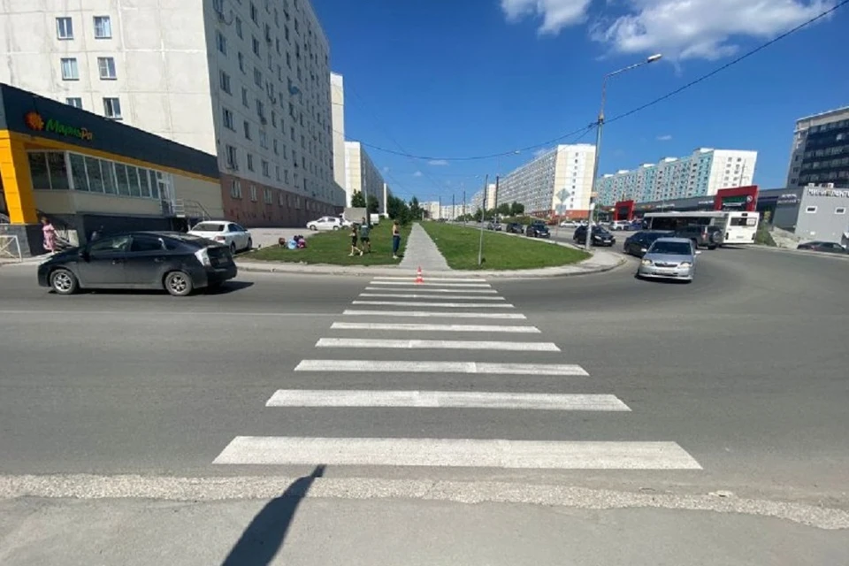 8-летнюю девочку сбила на «зебре» водитель «Тойоты» в Новосибирске. Фото: ГАИ города Новосибирска.