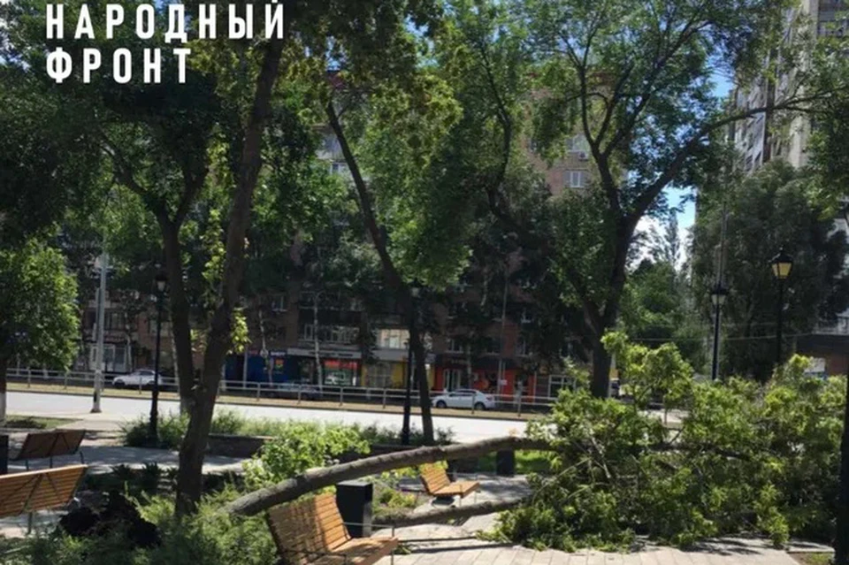Активисты выразили претензии к благоустройству сквера на улице Ново-Садовой / Фото: Народный фронт Самарской области