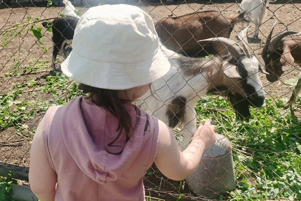 Девочка отдыхала у бабушки в деревне, когда ей стало плохо.