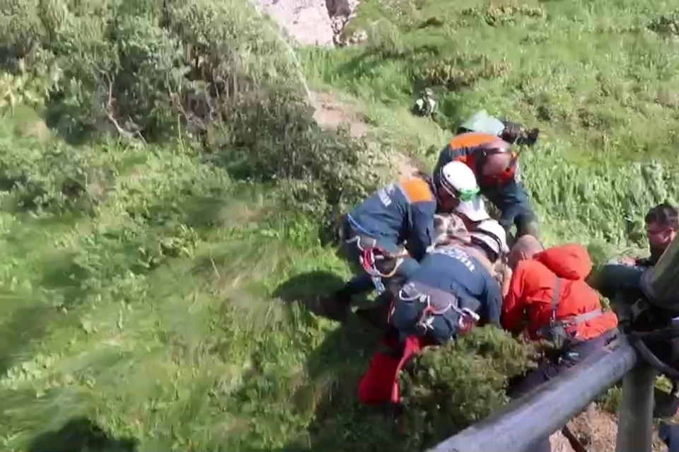 Фото: скрин видео ЮРПСО МЧС России