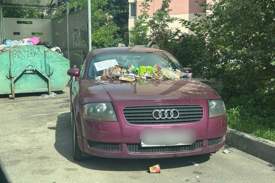 Петербуржцы отомстили водителю, припарковавшего свой автомобиль у мусорных контейнеров. Фото: t.me/chp_piter