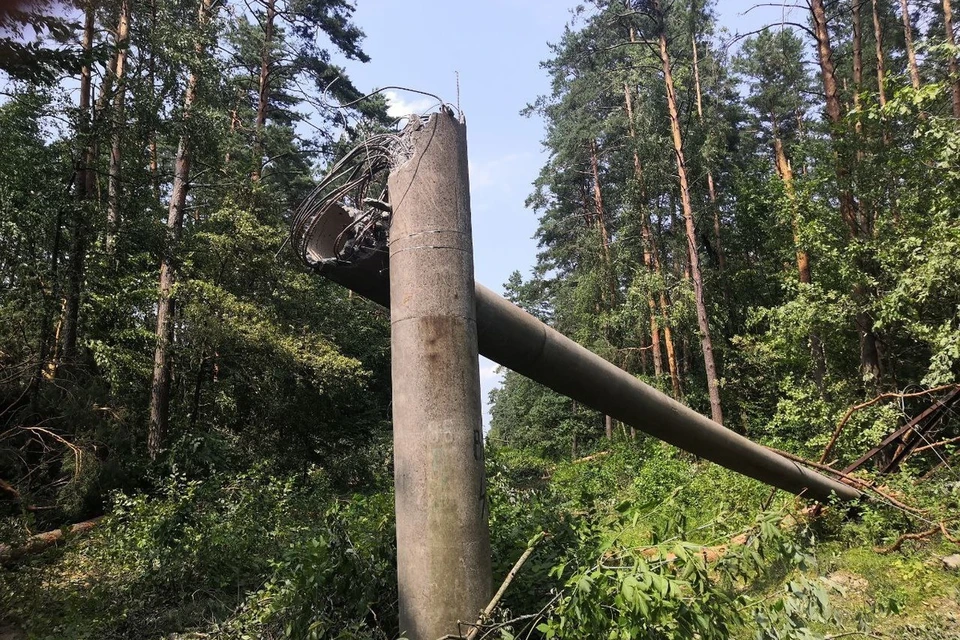 Минэнерго сказало, что не менее месяца понадобится на полное восстановление электросетей в Гомельской области. Фото: телеграм-канал Минэнерго Беларуси