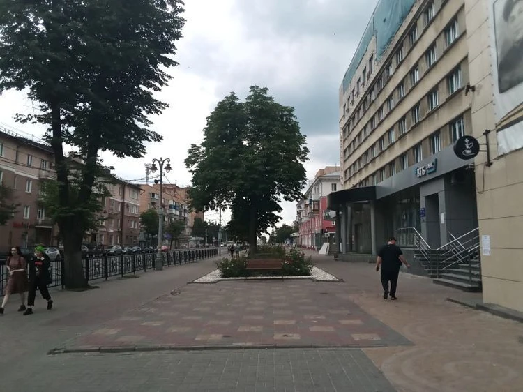 Танцевальная площадка, скалодром и велодорожка: главную улицу Курска обновят