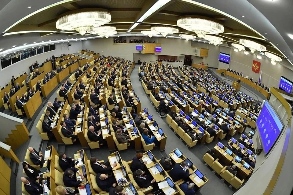 Госдума может принять во втором чтении проект закона о режиме высылки мигрантов
