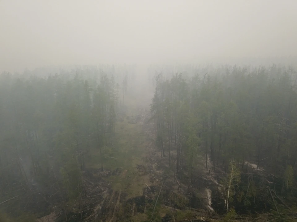 Площадь лесных пожаров в Якутии снизилась на 200 тысяч гектаров