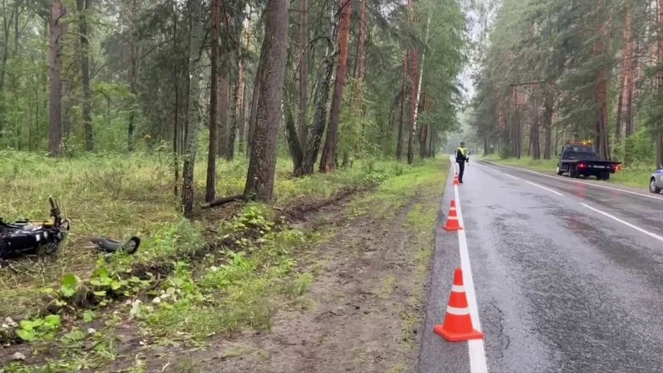 Фото: скриншот видео