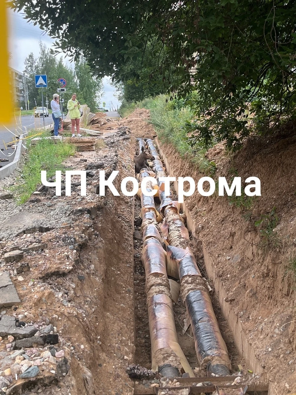 Источник: https://vk.com/chp44