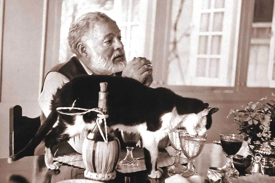 Нобелевский лауреат обожал выпивку и кошек.