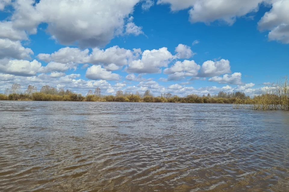 Уровень воды в Оби и протоке Лангепас уверенно снижается