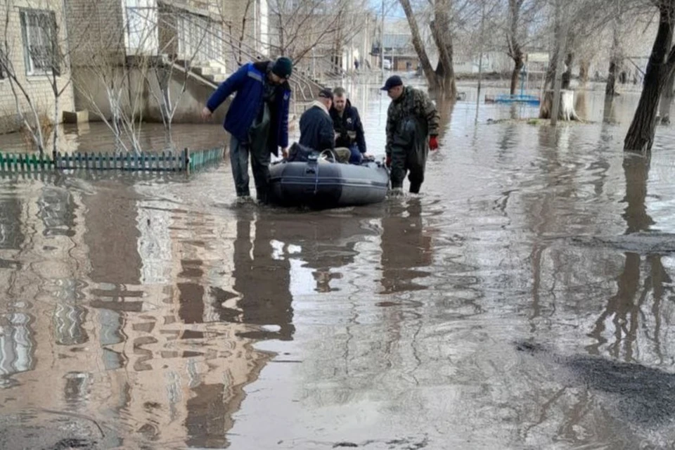 Принято 2319 заявлений на получение свидетельства.