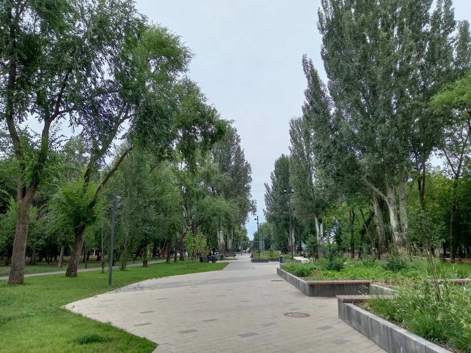 74% жителей города довольны уровнем его озеленения