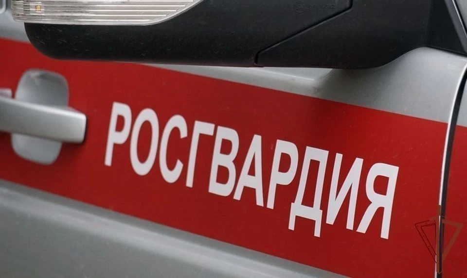 В Туле росгвардейцы поймали пьяного мужчину с пневматическим пистолетом