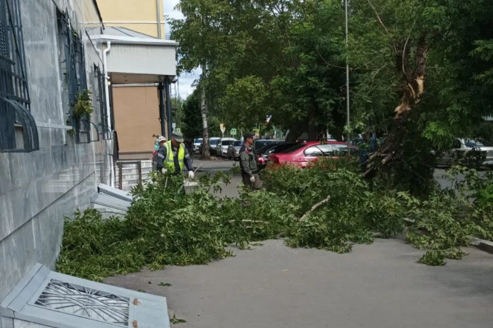 За минувшие выходные специалисты получили десятки сообщений от кировчан. Фото: киров.рф